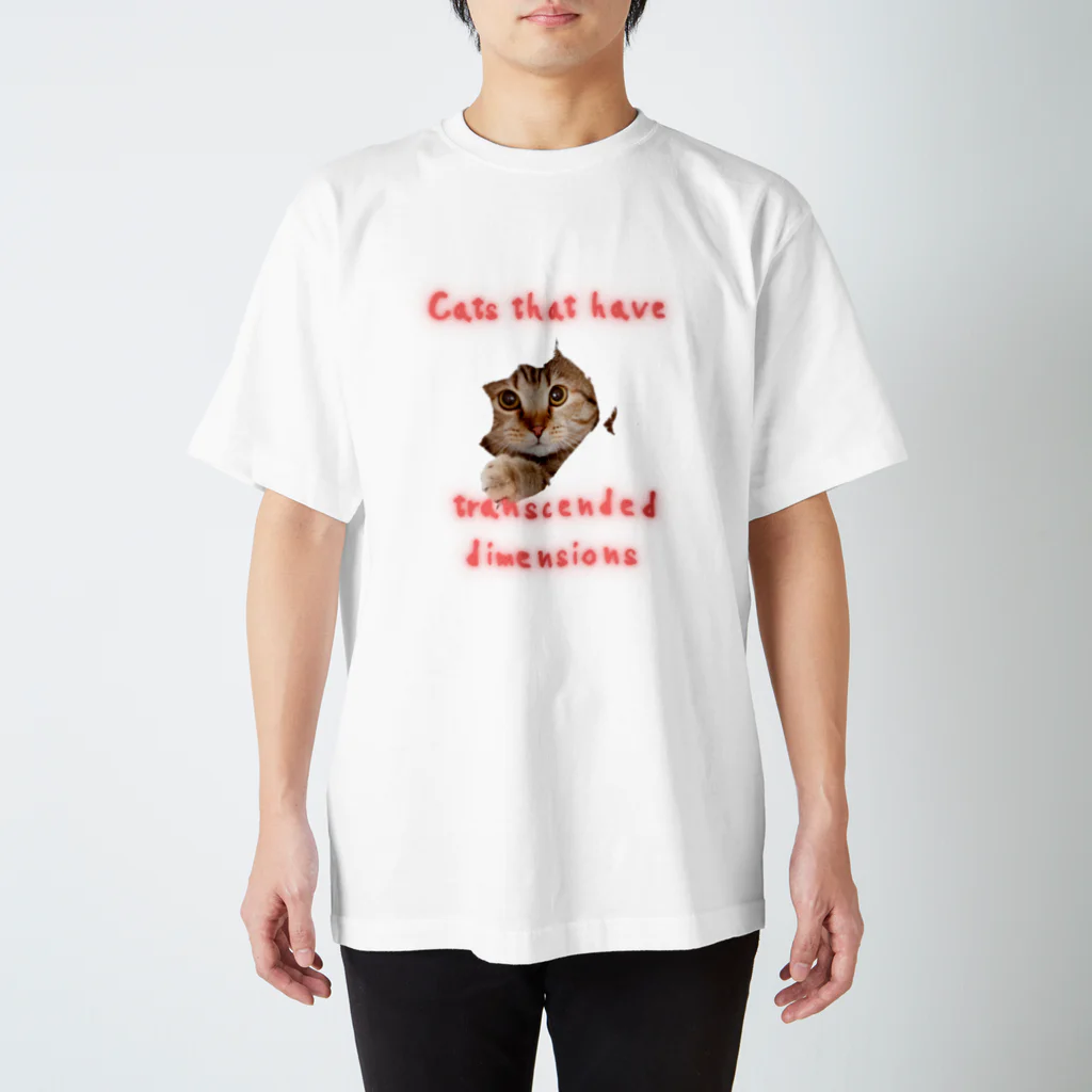 ミラくまの時空を超えてきた猫 スタンダードTシャツ