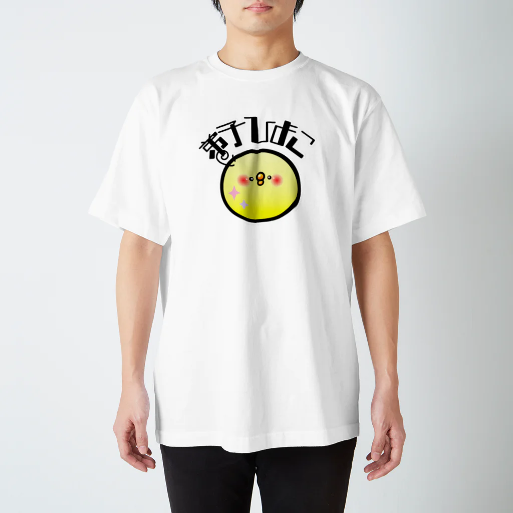 ぱてぃねす∞しょっぷの弟子ひよこTシャツ Regular Fit T-Shirt