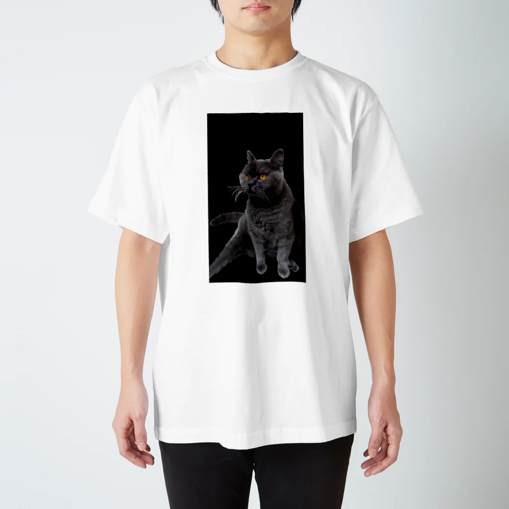 ねこのきまぐれの透けちゃったくつろぎブルー スタンダードTシャツ