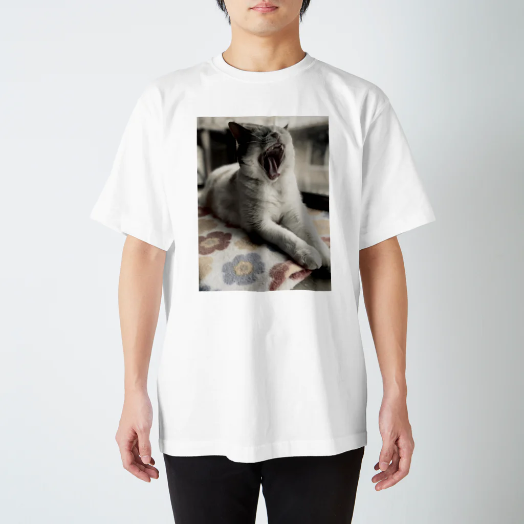 嫌われ飼い主のおおあくび スタンダードTシャツ