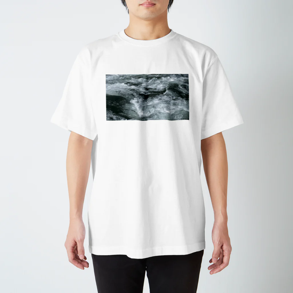 👀キョロの👀T：涼しいphotoT スタンダードTシャツ