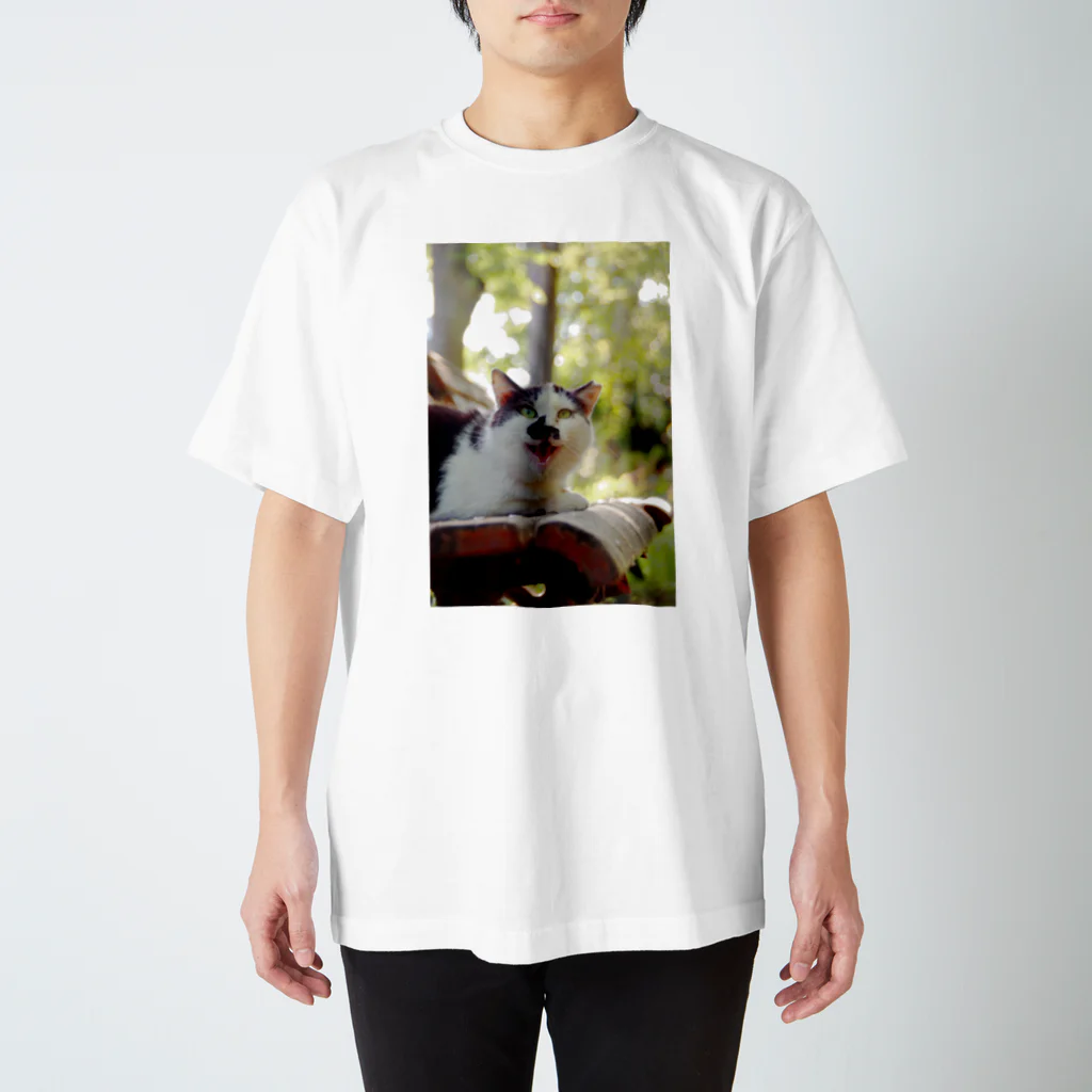 シッポ追いの猫写真店のきみの笑顔に Regular Fit T-Shirt