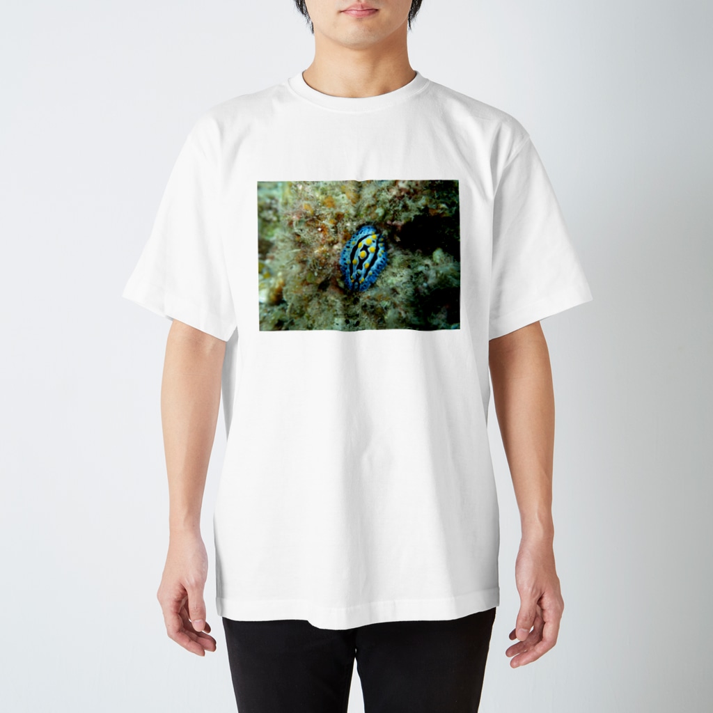 海の家のソライロイボウミウシ Phyllidia coelestis Regular Fit T-Shirt