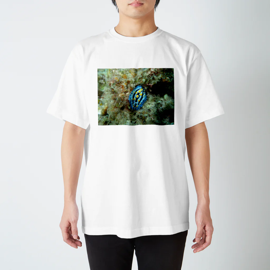 海の家のソライロイボウミウシ Phyllidia coelestis スタンダードTシャツ