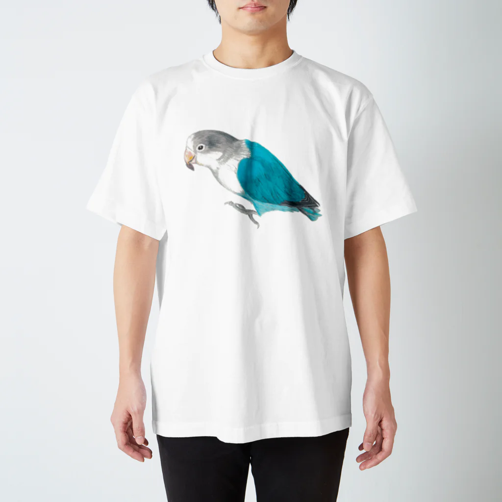 森図鑑の[森図鑑] ブルーボタンインコと種 Regular Fit T-Shirt