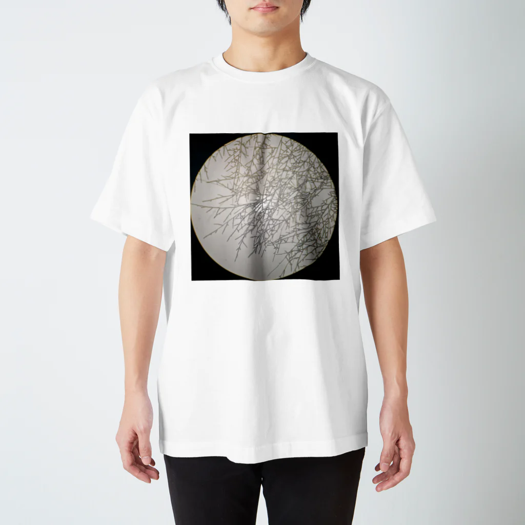 大学生の菌糸 Regular Fit T-Shirt