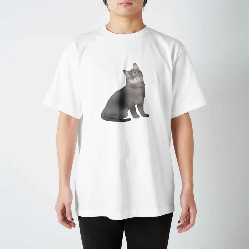 猫との遭遇のうちのにゃ～んこ（サバトラver.） Regular Fit T-Shirt