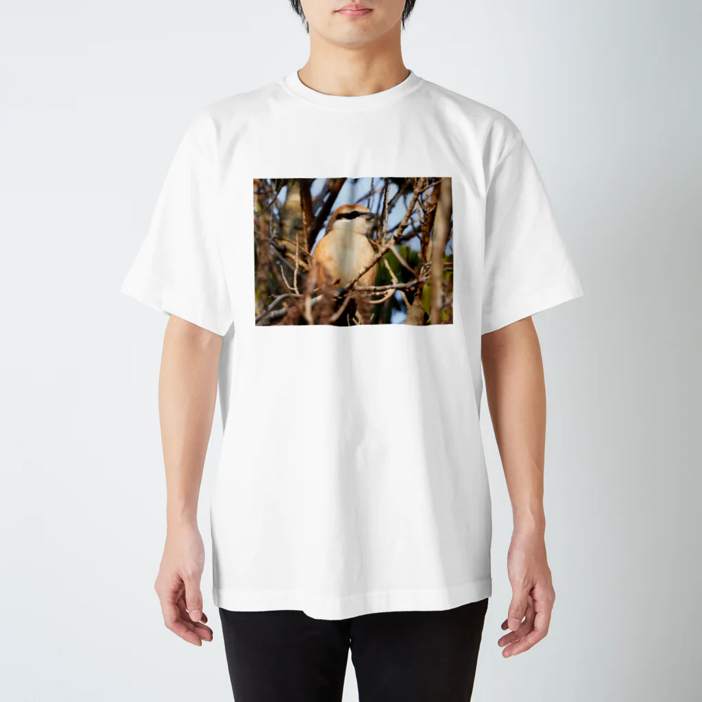 永遠の兵の百舌鳥 Regular Fit T-Shirt