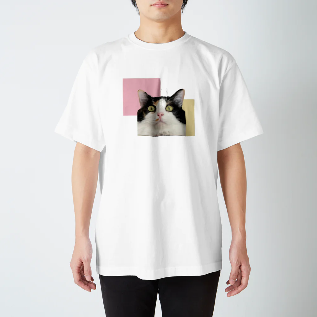 三毛猫の朝と黒猫の夜@好奇心倶楽部の朝は宇宙人と交信中 Regular Fit T-Shirt