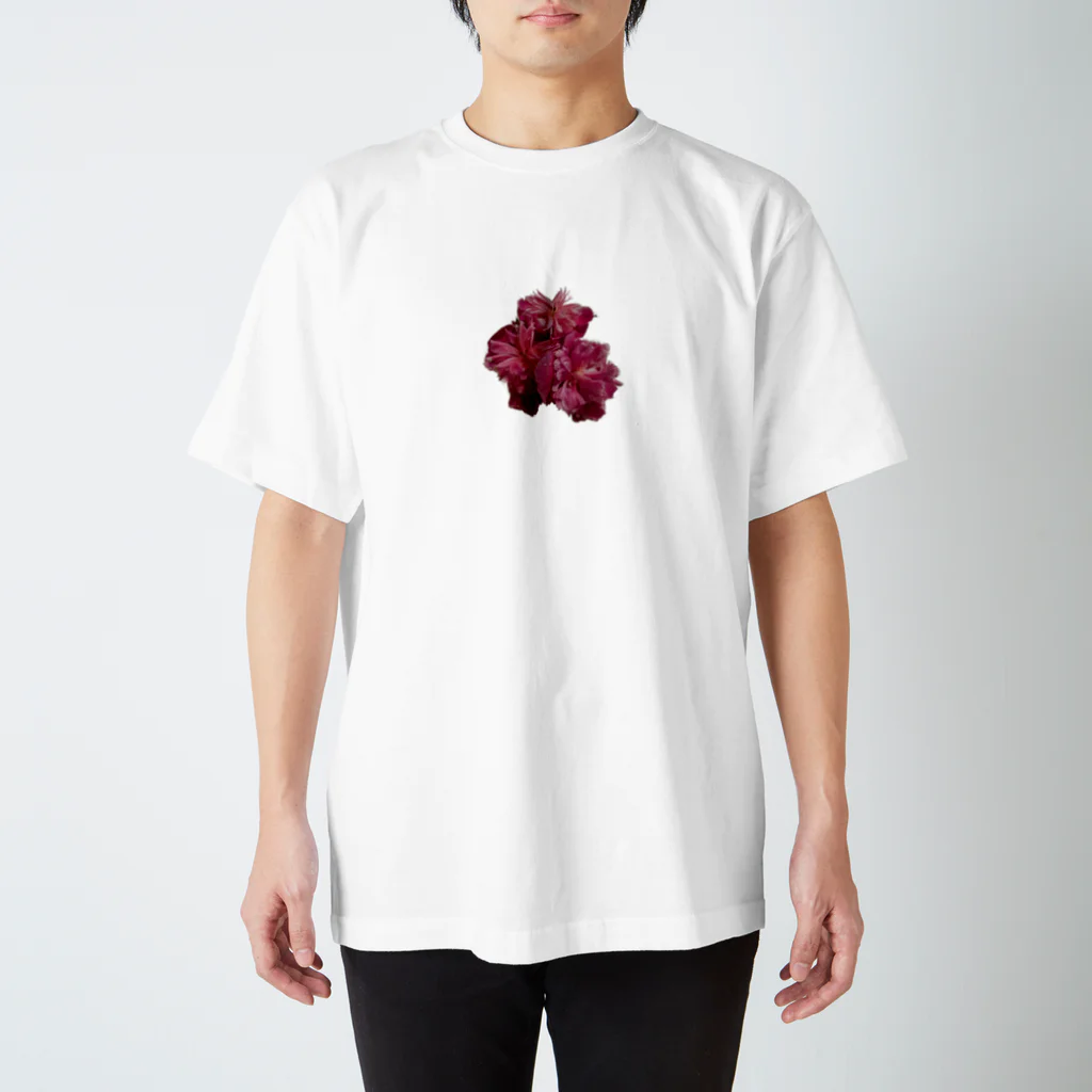 神埼寧（ᴋᴀɴᴢᴀᴋɪ ɴᴇɪ）のシャクヤク　 Regular Fit T-Shirt