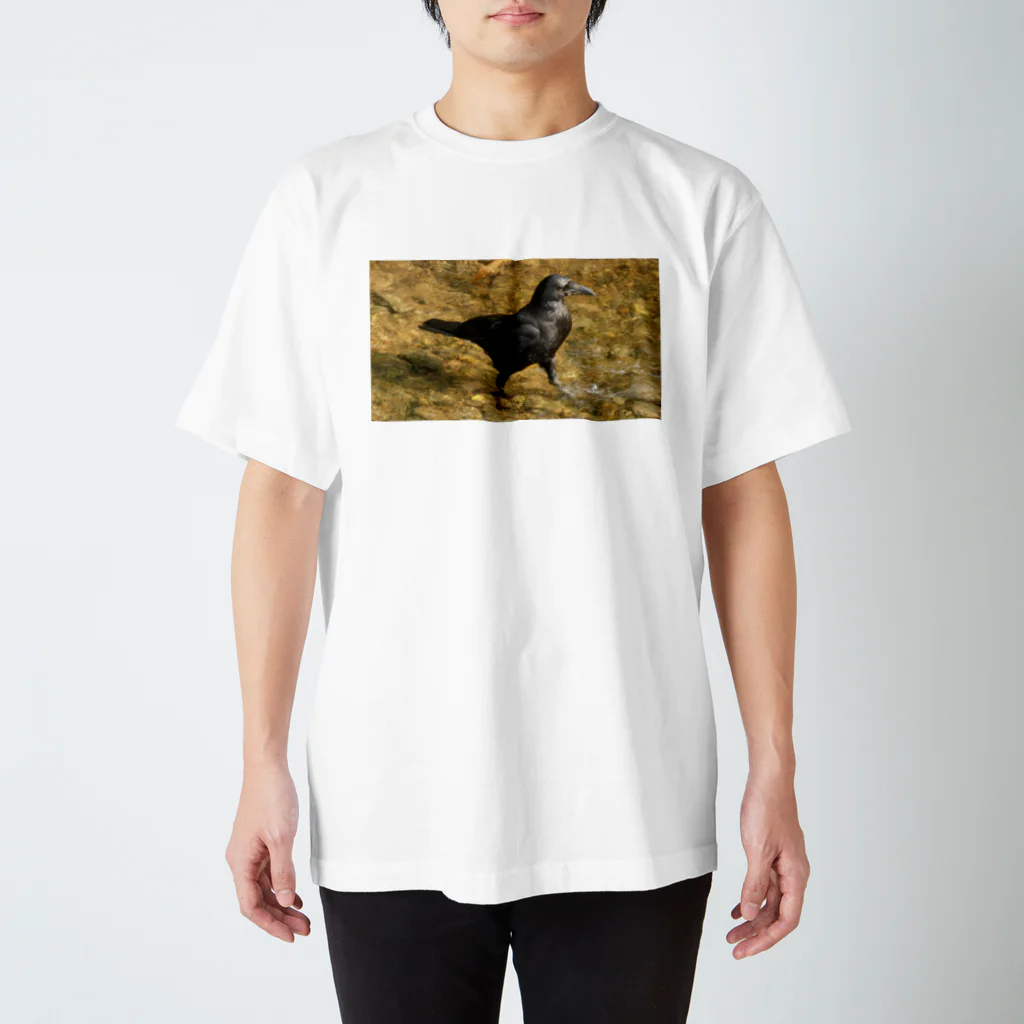 永遠の兵の水遊びのカラスくん スタンダードTシャツ