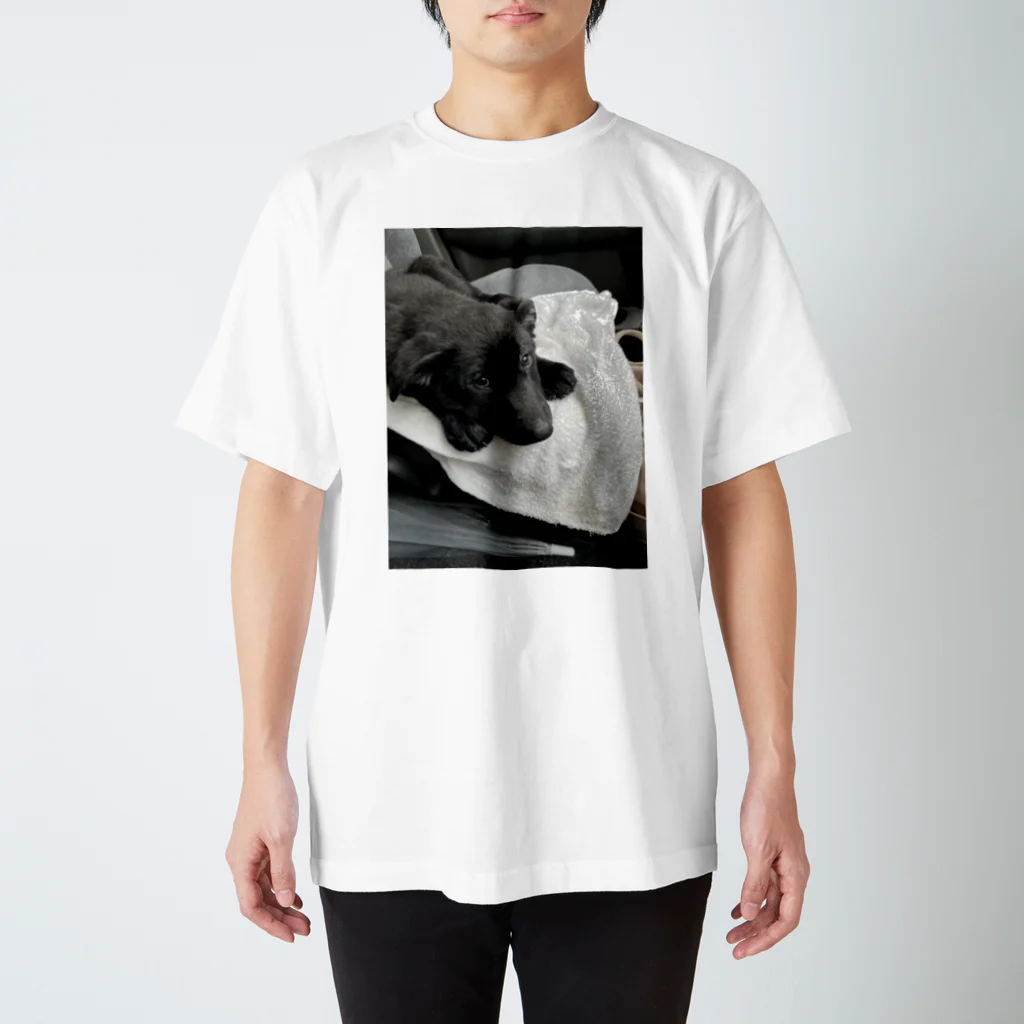 goma93のアスラン Regular Fit T-Shirt