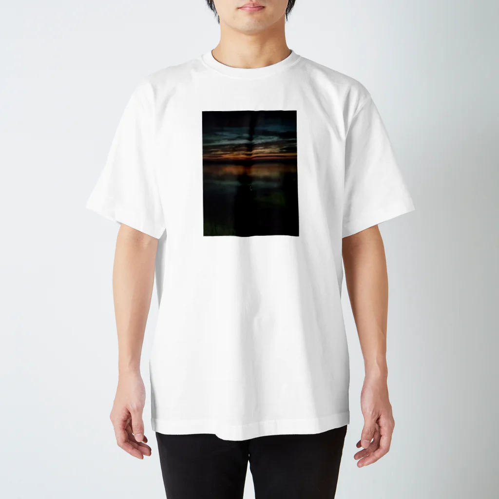 lostの暮れなずむ白鳥 Regular Fit T-Shirt