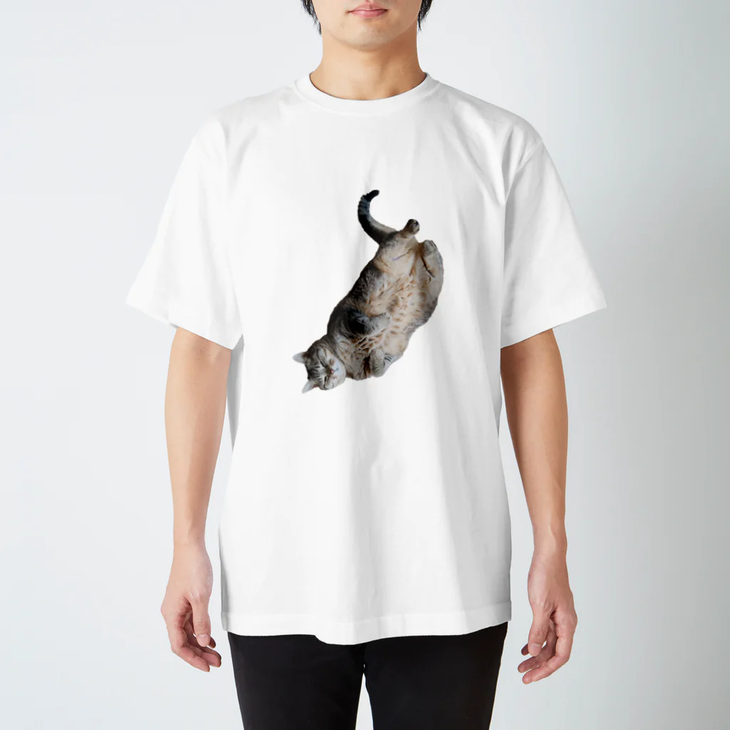 城の3月17日の落ちてる猫です スタンダードTシャツ