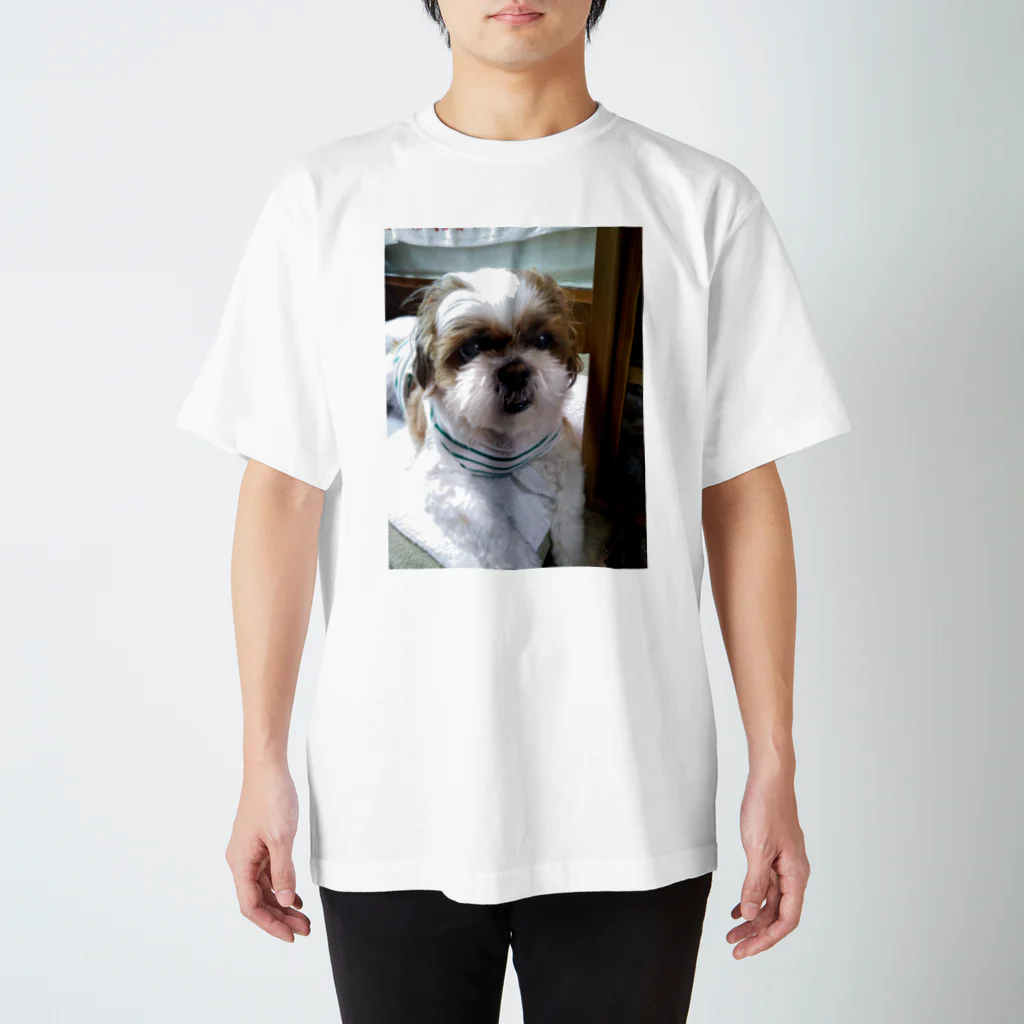 うさ子のおネエのショップのシー・ズー犬　ムクりん スタンダードTシャツ