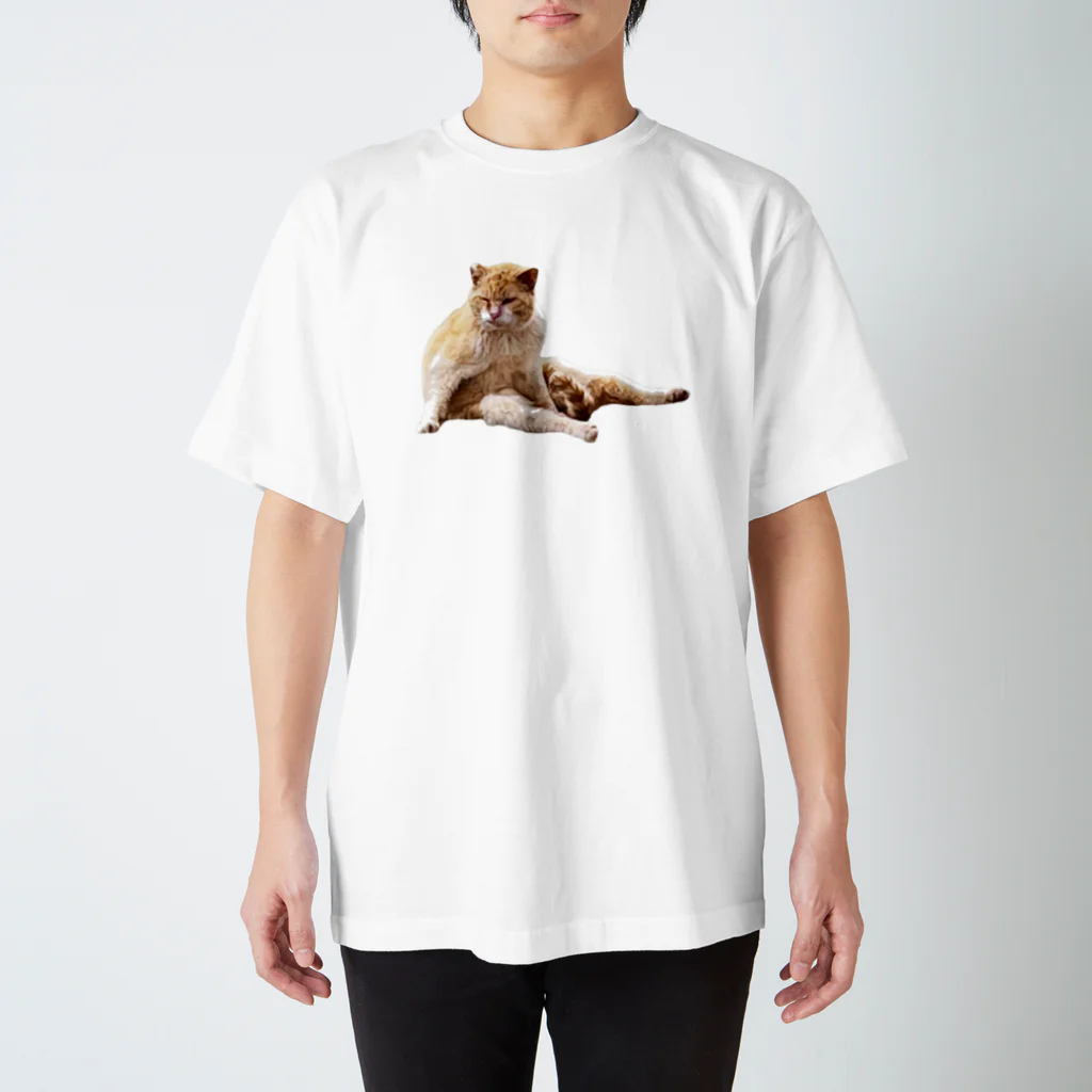 cre8am Houseのヒットマンな顔の猫 Regular Fit T-Shirt