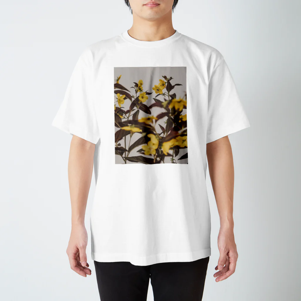 BandoneonのLysimachia スタンダードTシャツ