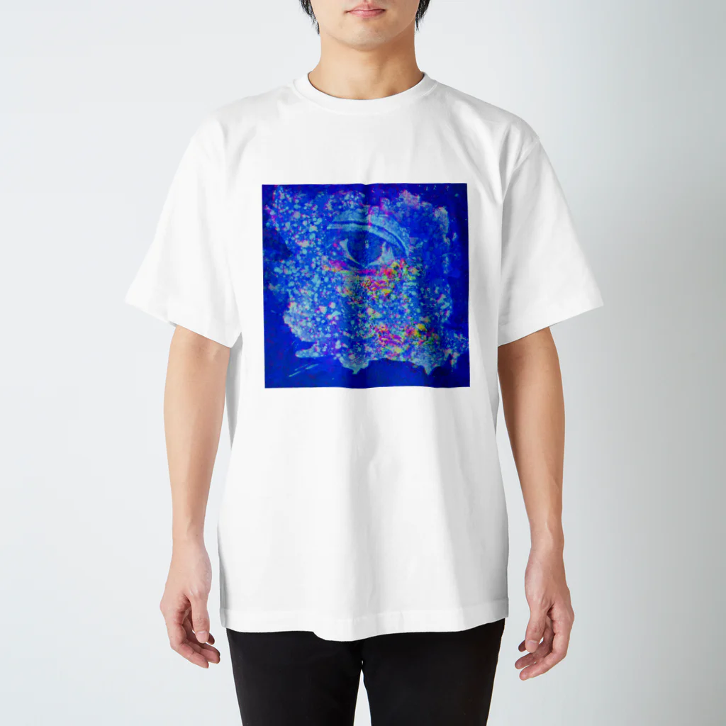 Blue Duck(ブルーダック)のeye i eye スタンダードTシャツ