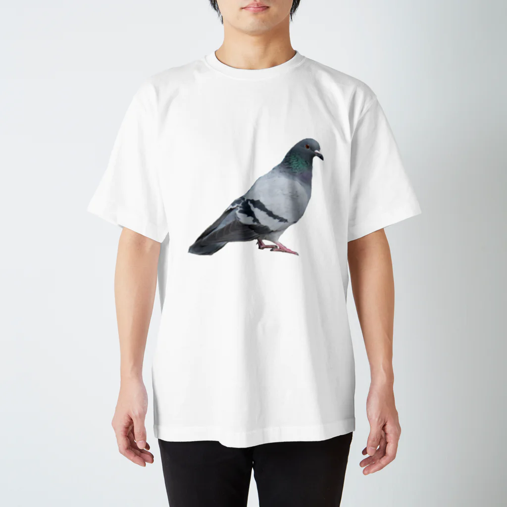 ねこの写真館の常盤の鳩先輩 Regular Fit T-Shirt