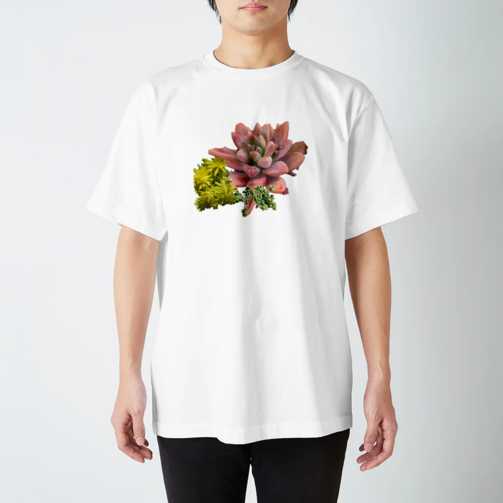 TANIKU-WANのトリプル多肉 スタンダードTシャツ