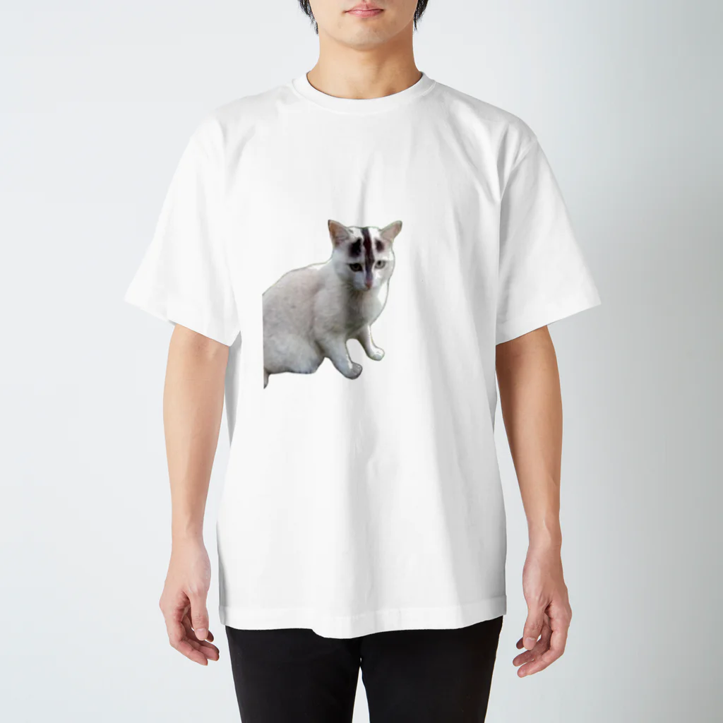 ＳＺＵＫＩのたいのねこちゃん Regular Fit T-Shirt