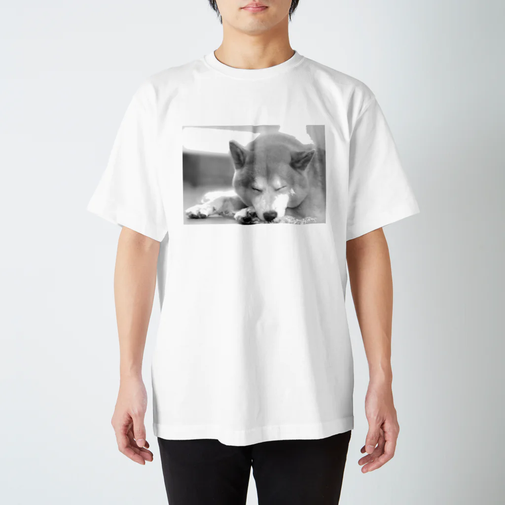 柴犬りゅうの眠り柴犬 Regular Fit T-Shirt