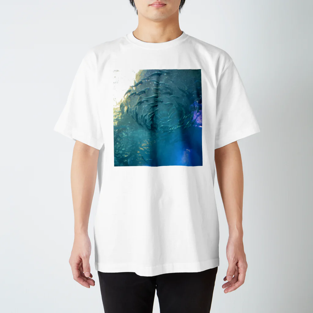 碧の世界。の未来。 スタンダードTシャツ