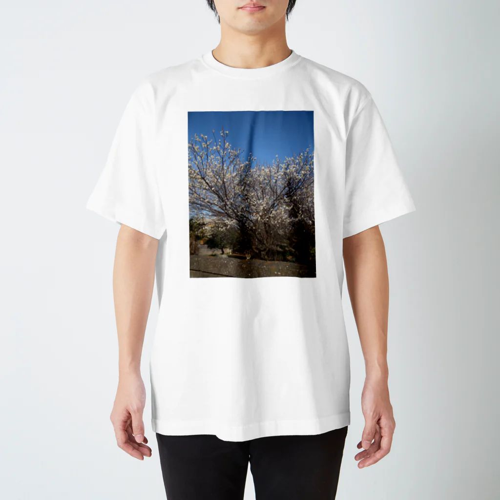 まち子宗形の桜の木 Regular Fit T-Shirt