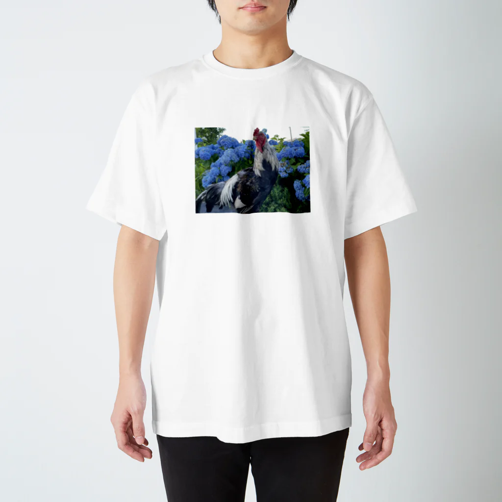 コエヨシの声良鶏ｺｴﾖｼﾄﾞﾘ Regular Fit T-Shirt