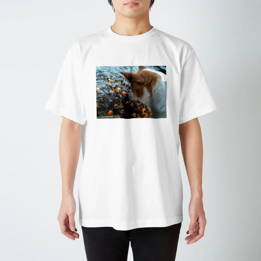 夏休みの犬のまめちゃんと冬 Regular Fit T-Shirt