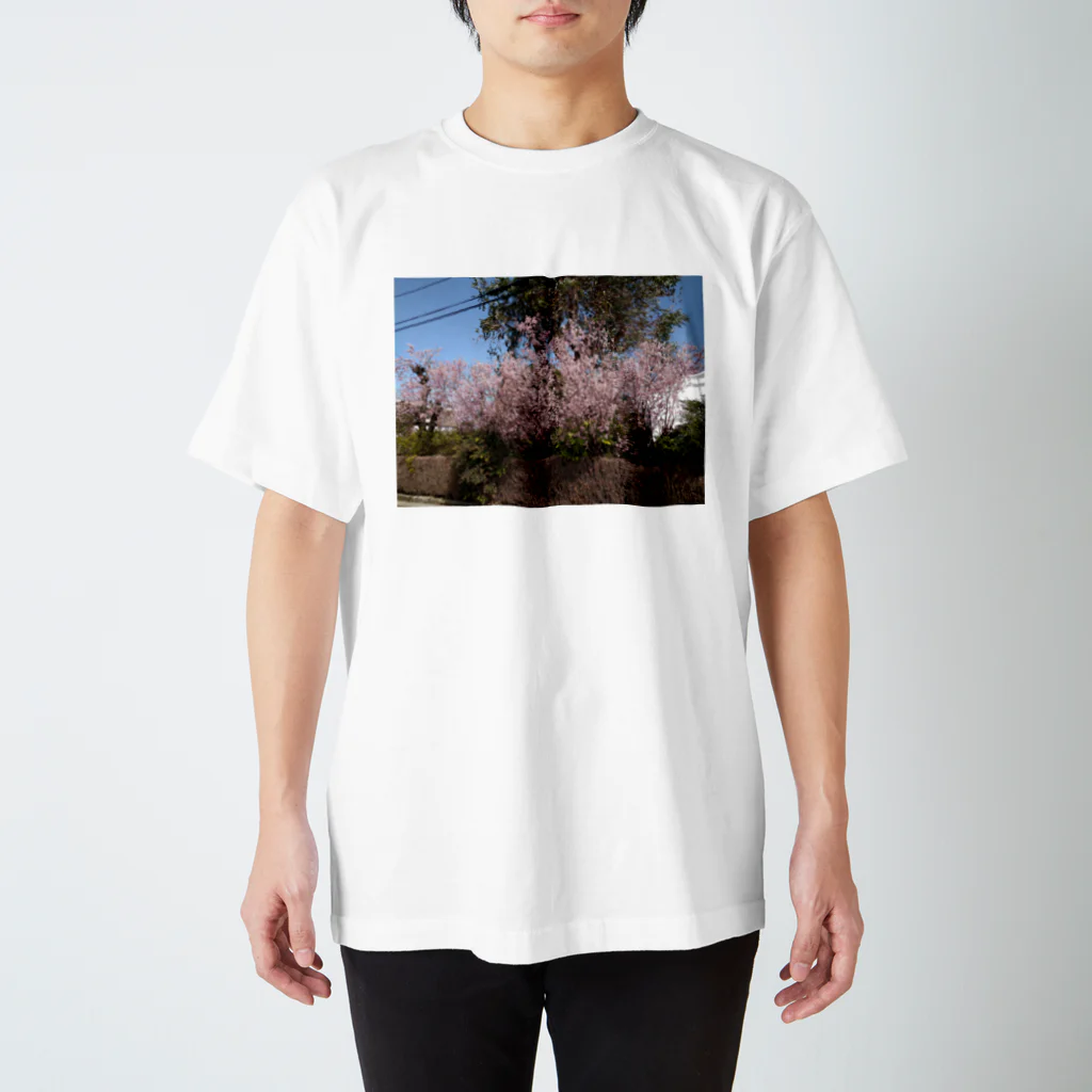 まち子宗形の桜の木 Regular Fit T-Shirt