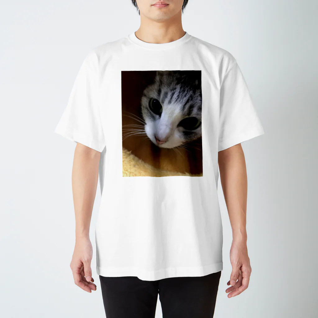 我が家のアイドル達のねこまろ スタンダードTシャツ