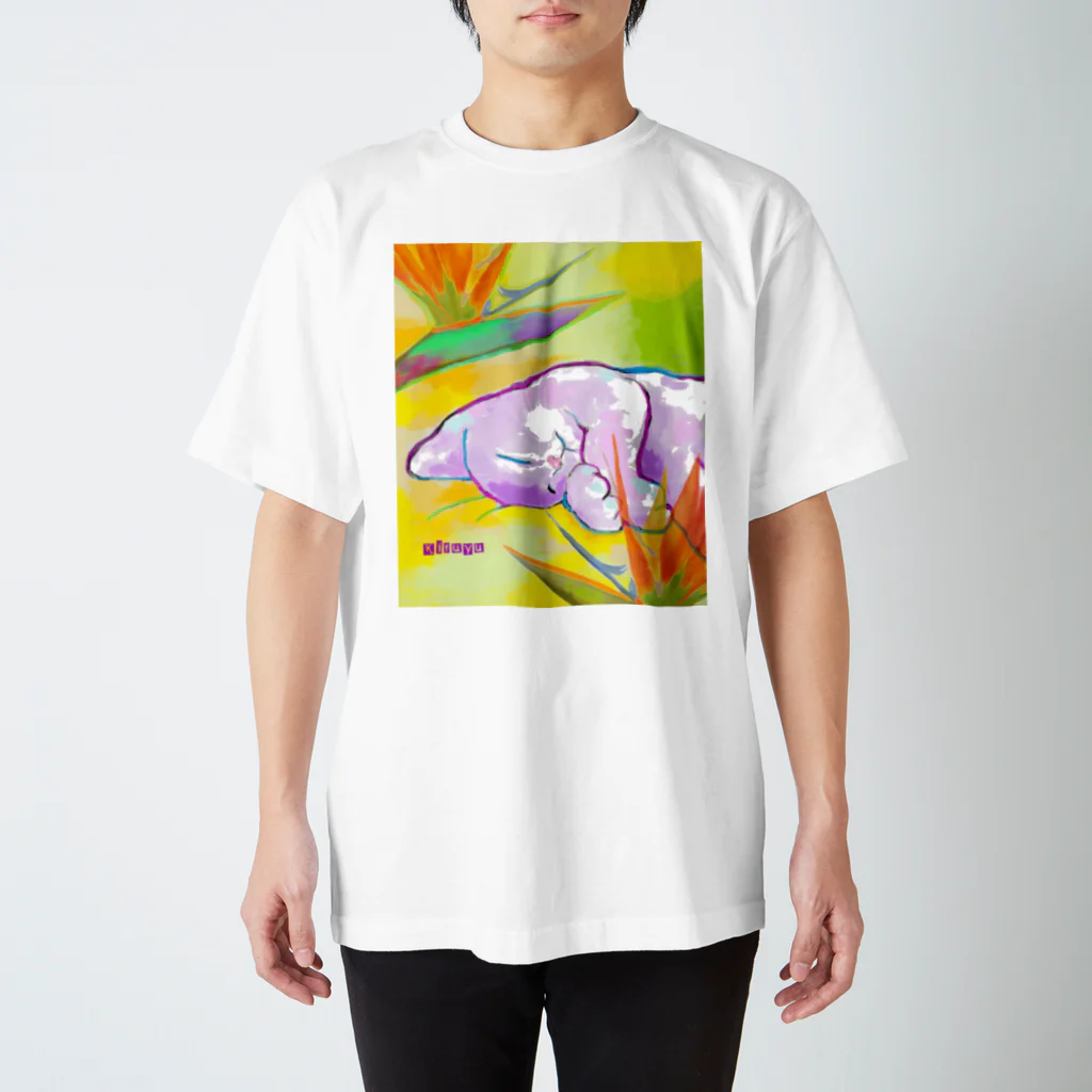 Kifuyuの花と猫 スタンダードTシャツ