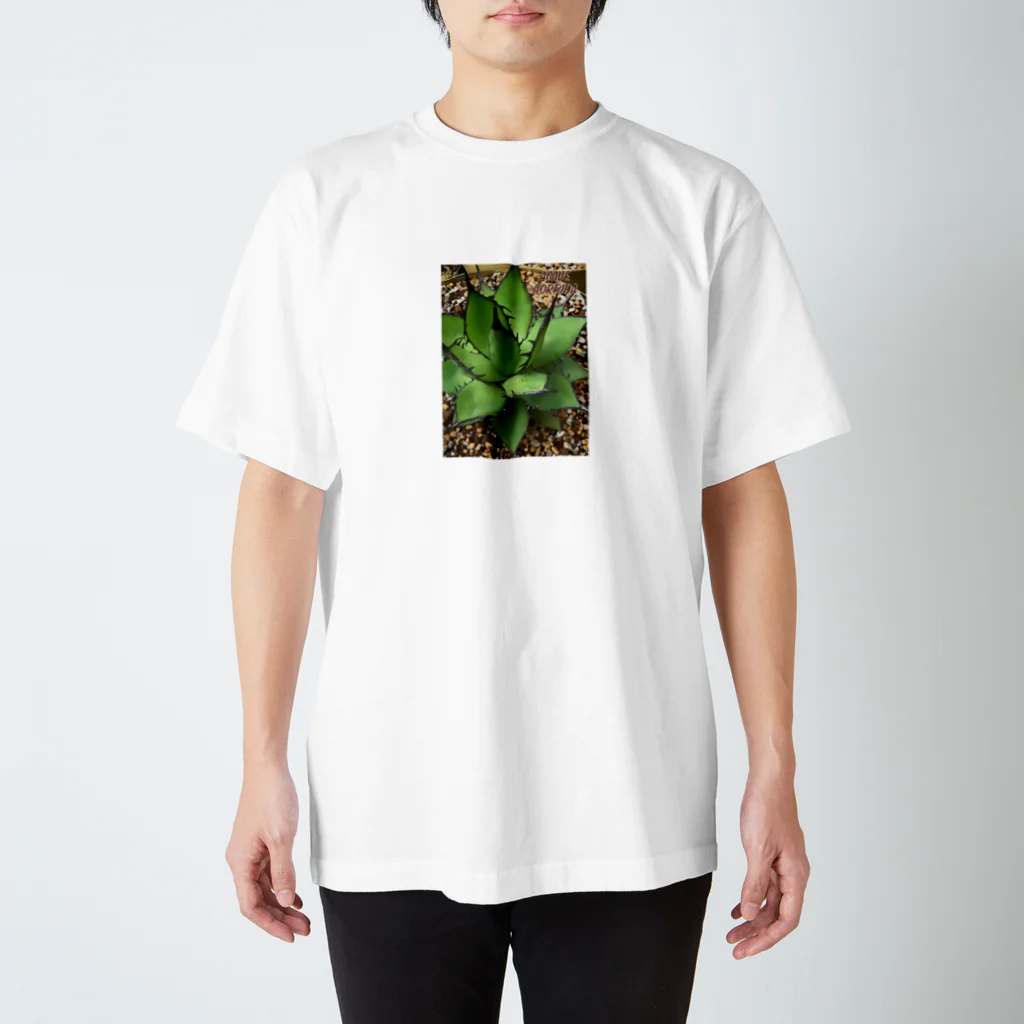 シアン猫の植物図鑑のアガベ ホリダ(加工Ｖｅｒ．) スタンダードTシャツ