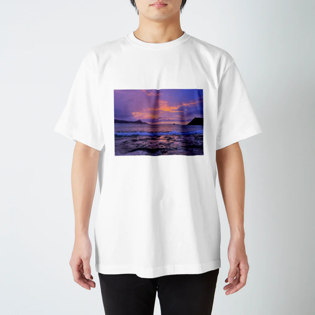 Healing Forestの海 スタンダードTシャツ