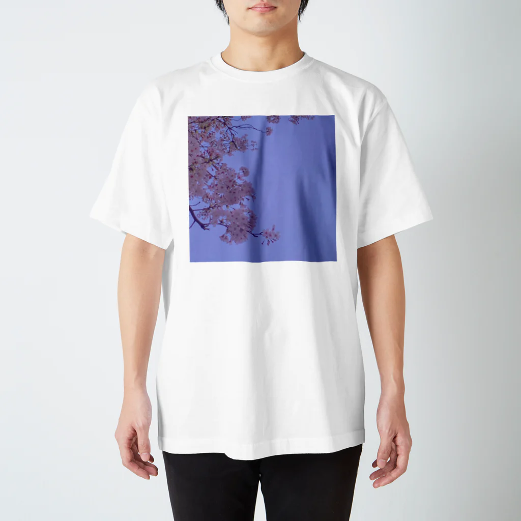 odan's PHOTOのカコソラ スタンダードTシャツ