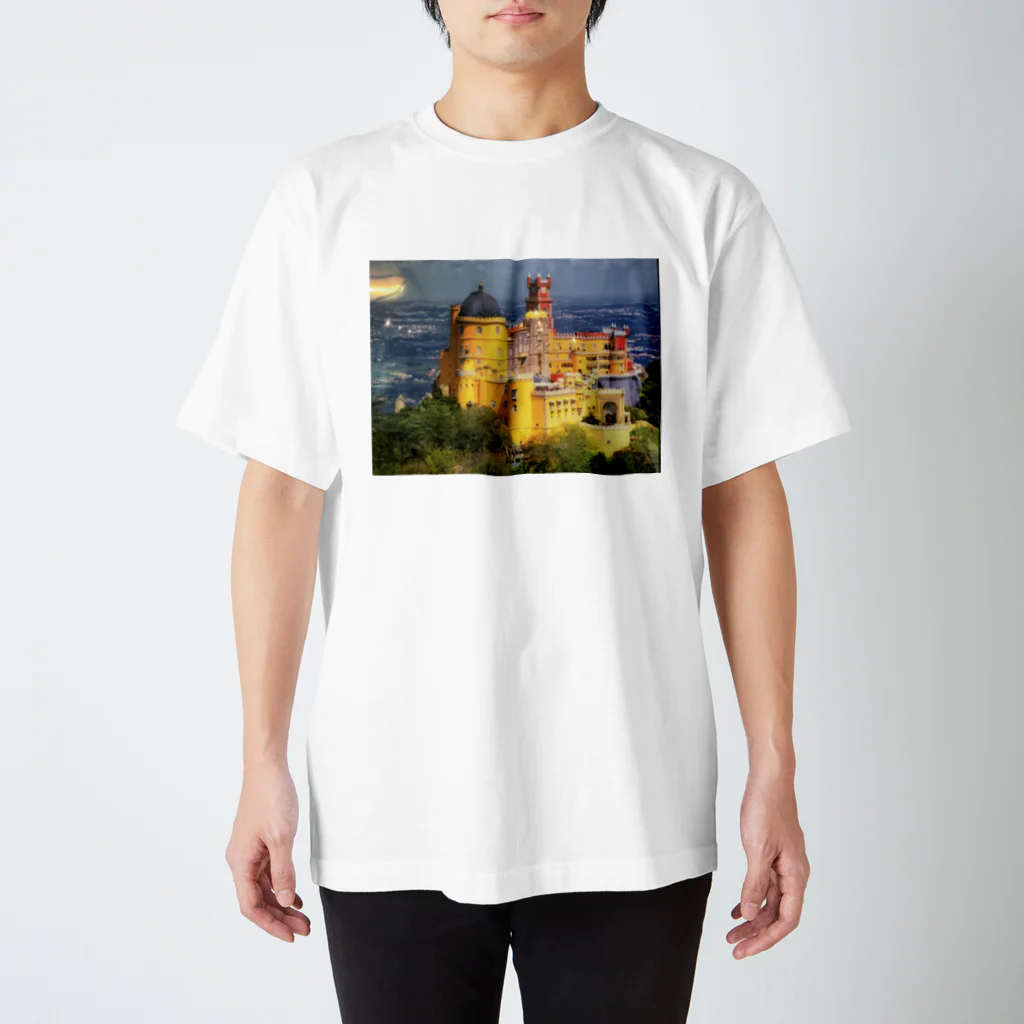 スマイル３９のプライベート古城 スタンダードTシャツ