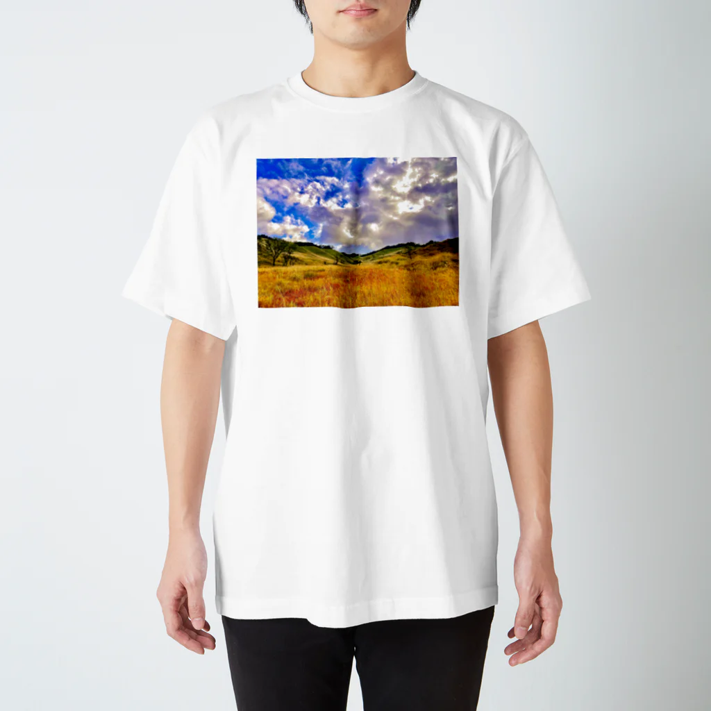 わがままカルパッチョの雨上がりの頂 Regular Fit T-Shirt