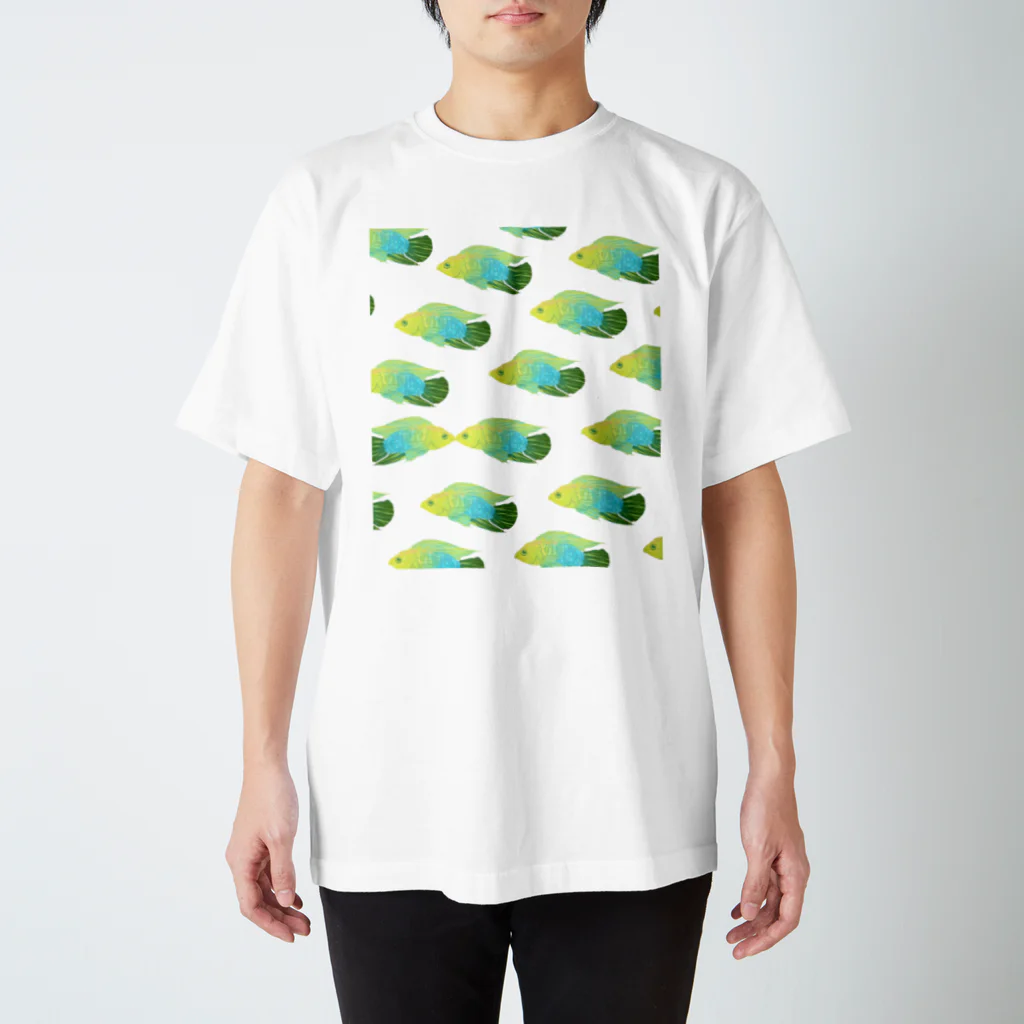 tokoのアピストグラマ・ボレリィ・イエローフェース Regular Fit T-Shirt