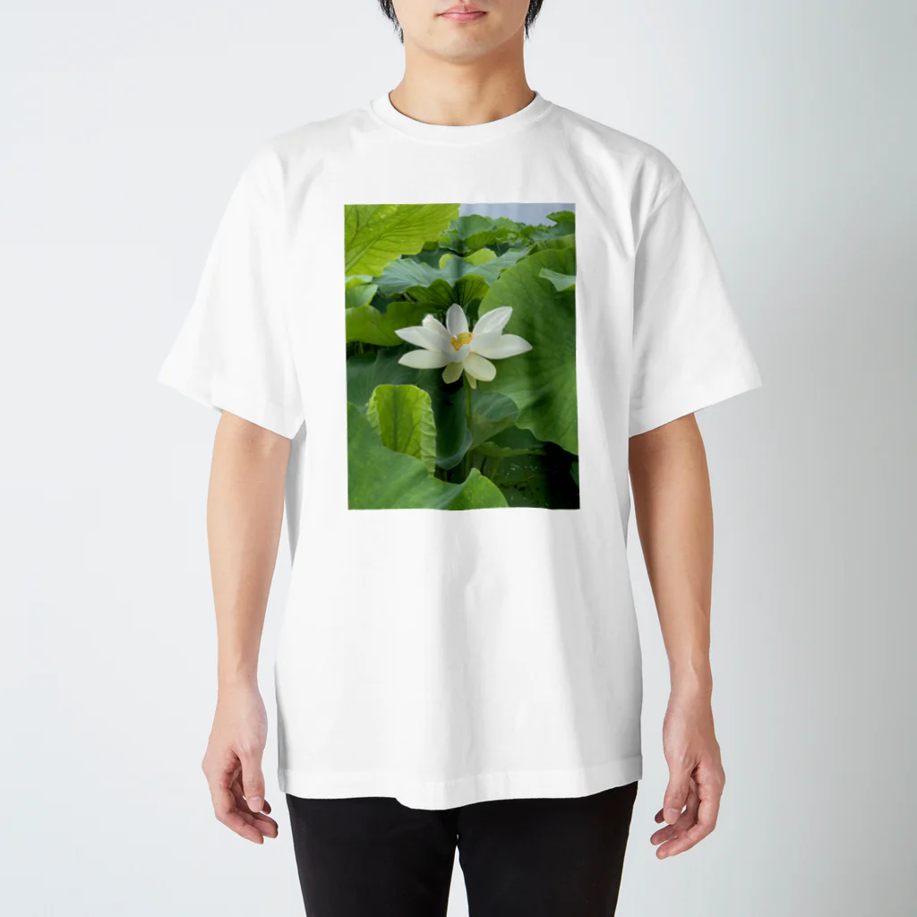 櫻井レンコンのレンコンの花 Regular Fit T-Shirt