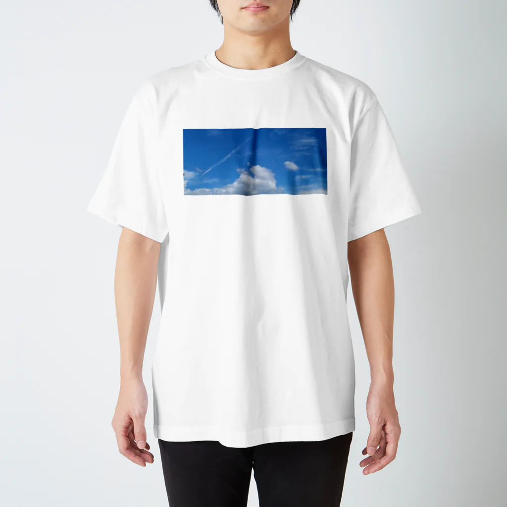 ♪mamashiro♪のリョク君 スタンダードTシャツ