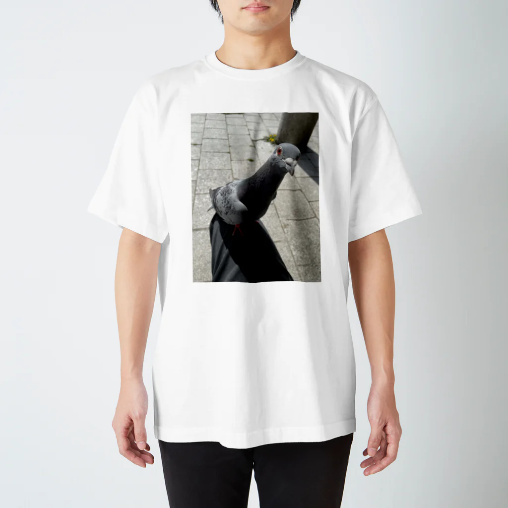 YAMAHANA BASEのハトT Regular Fit T-Shirt