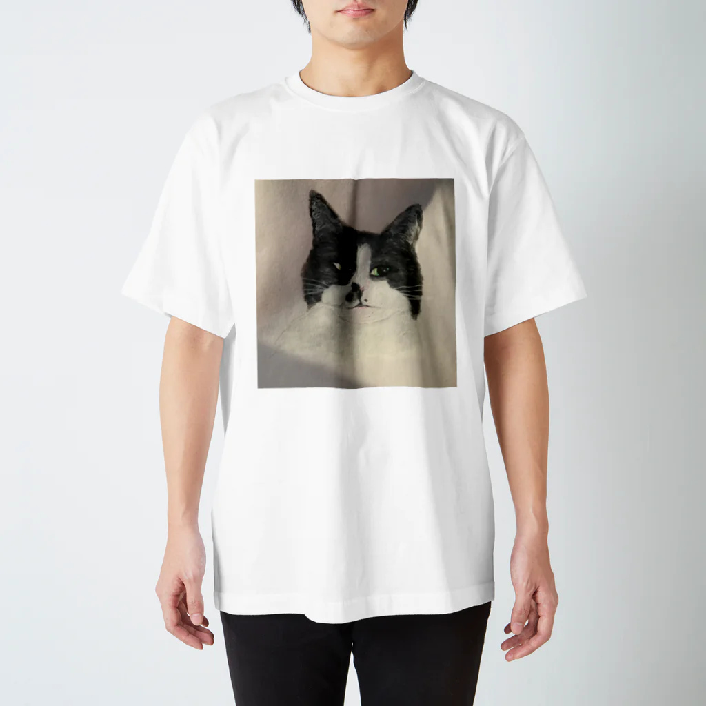 夏休みの猫ちゃん スタンダードTシャツ
