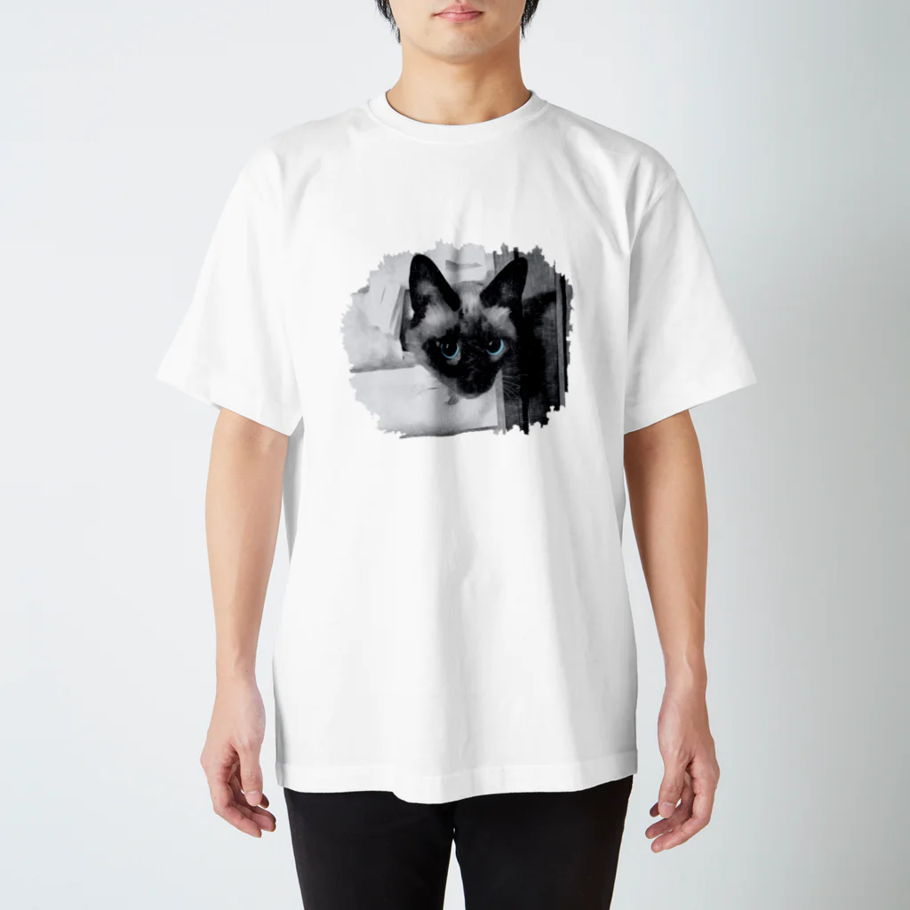 なかおの障子をぶち破った猫 Regular Fit T-Shirt