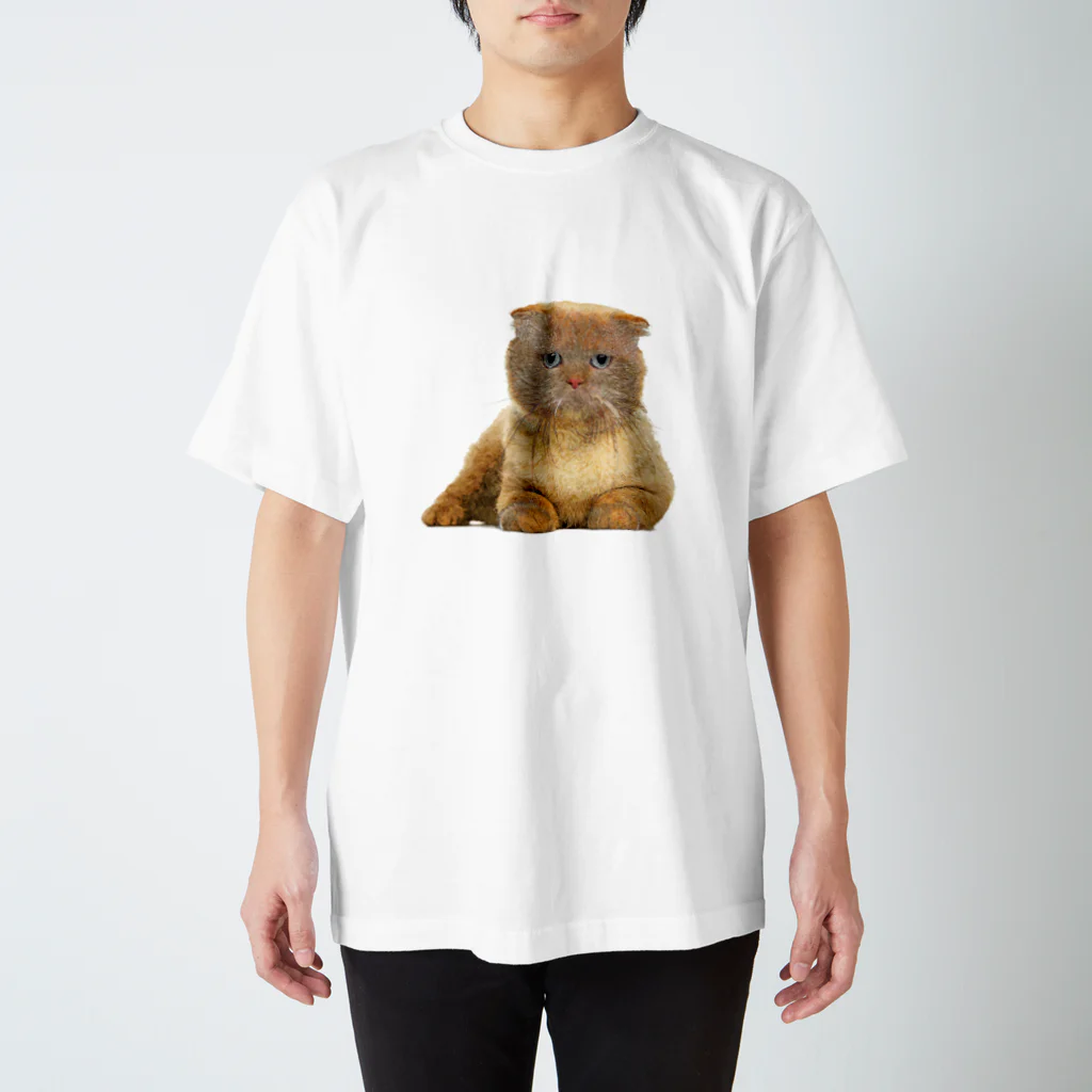 【CPPAS】Custom Pet Portrait Art Studioのブサかわいいスコティッシュフォールドキャット Regular Fit T-Shirt