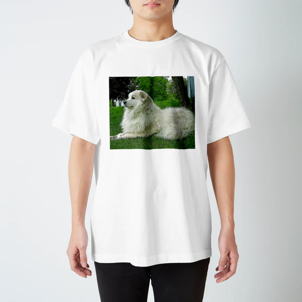 【CPPAS】Custom Pet Portrait Art Studioの優雅なグレートピレニーズドッグ Regular Fit T-Shirt