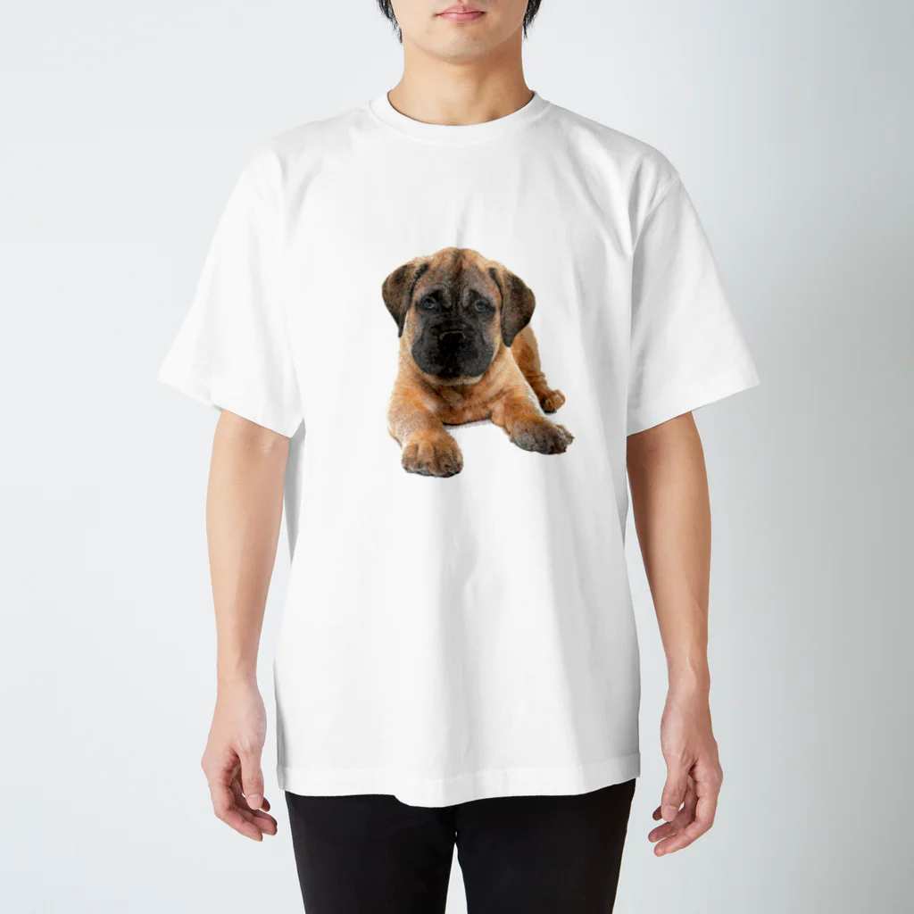 【CPPAS】Custom Pet Portrait Art Studioのブルマスティフの可愛い子犬 Regular Fit T-Shirt