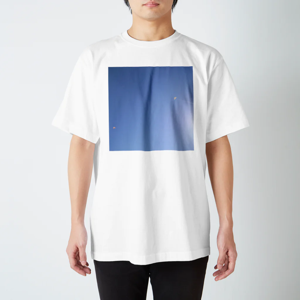 Tyun Takayamaのちょっとだけでてるタコ スタンダードTシャツ