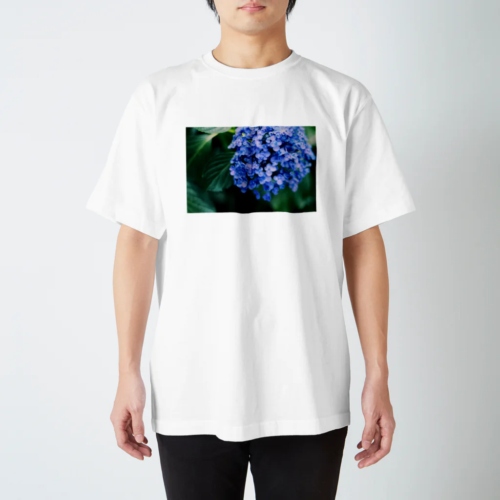 憧憬写真館のHydrangea スタンダードTシャツ