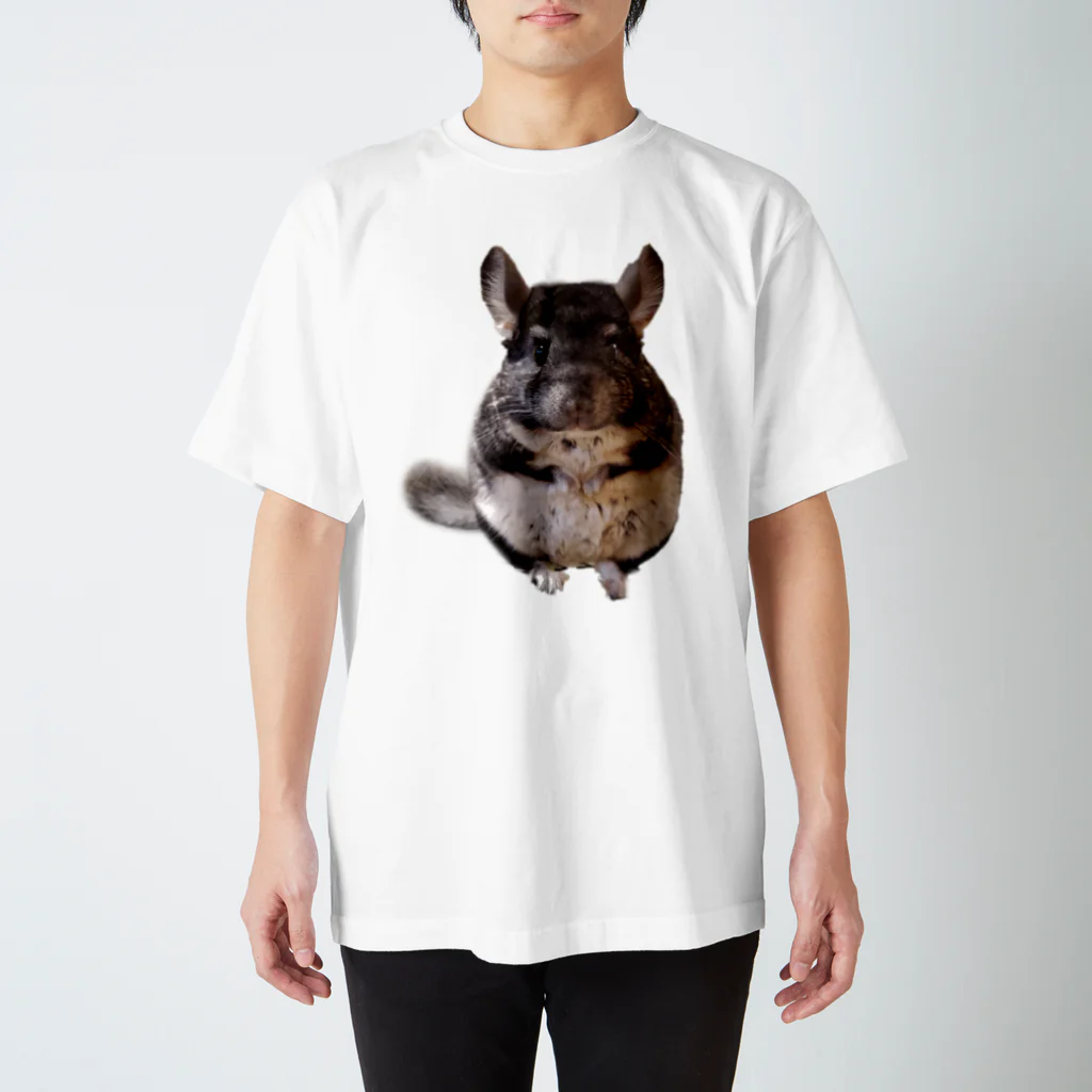 もふもふかふぇのAZUKI Regular Fit T-Shirt